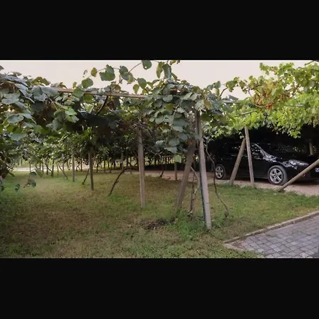 Vikendica Trebizat Σπίτι διακοπών